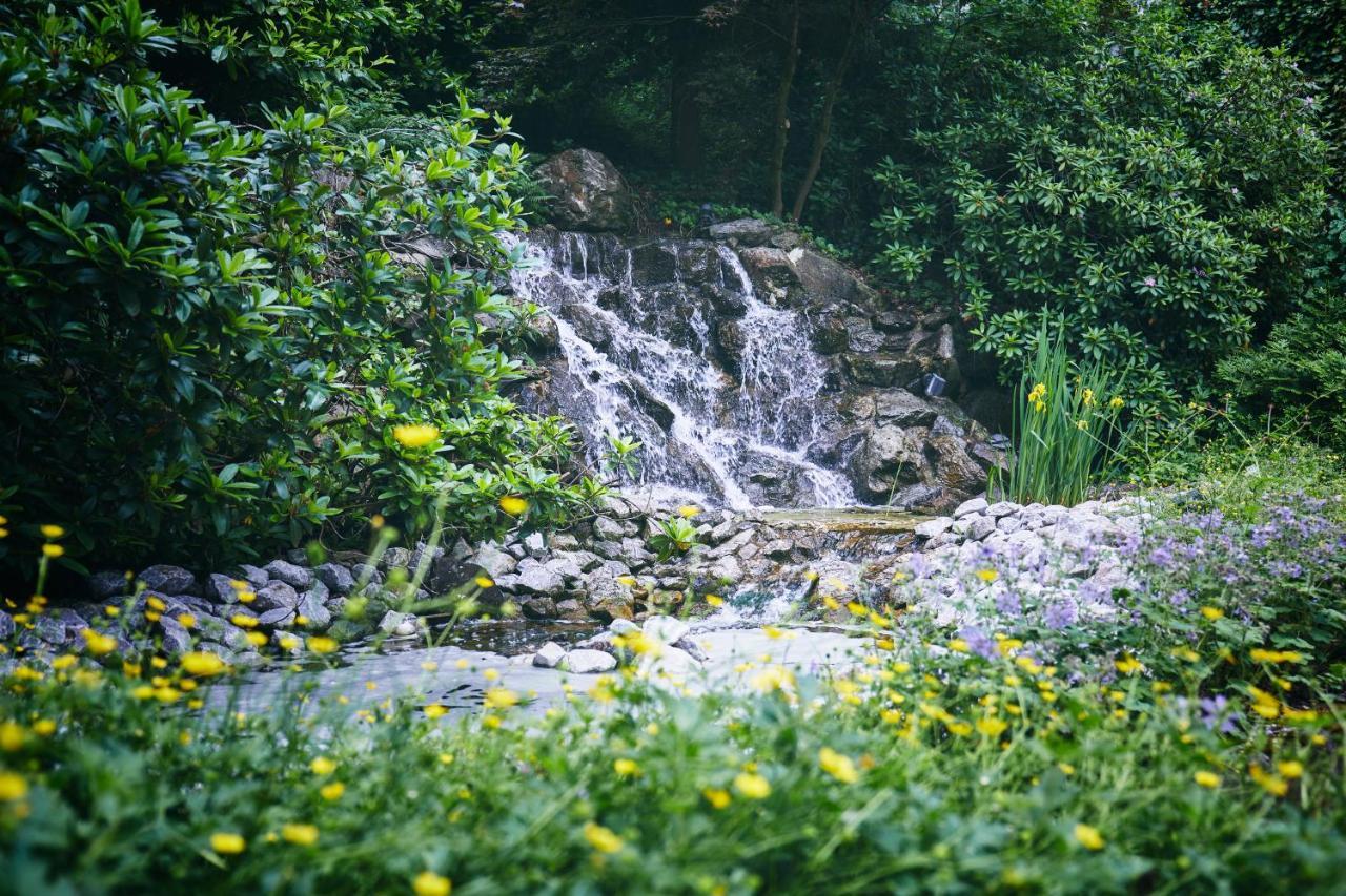 Rueters Parkhotel Willingen  Ngoại thất bức ảnh